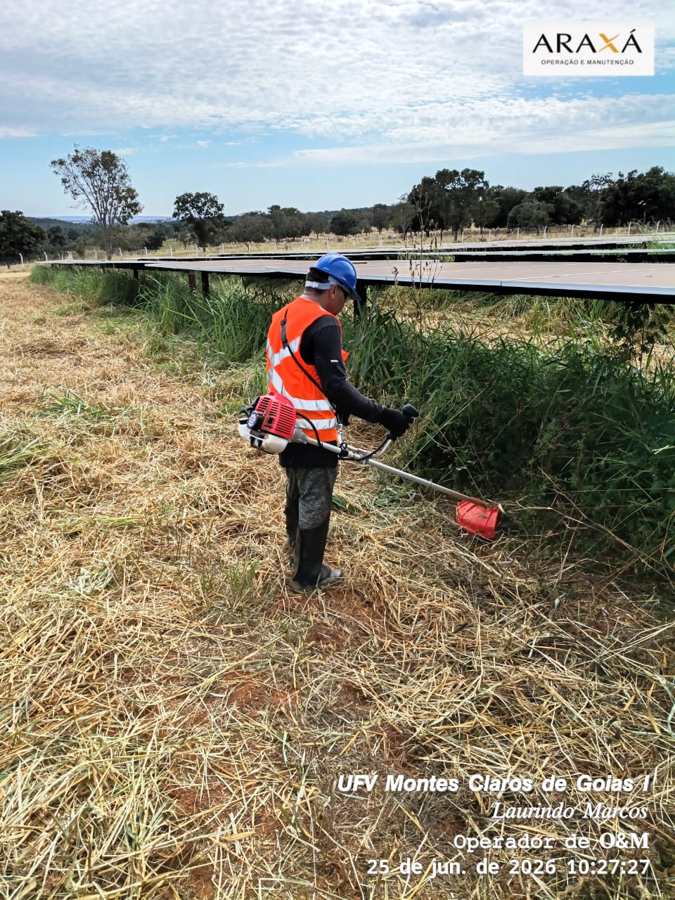 Controle de vegetação em usina fotovoltaica